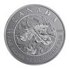 Image 3 : 2019 Canada Fine Silver Maple Leaf Fractional Set - A Bicentennial Celebration
