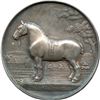 Image 1 : Clydesdale Horse Society Of Great Britain And Ireland Instituted 1877 Award Medal Sterling Silver.