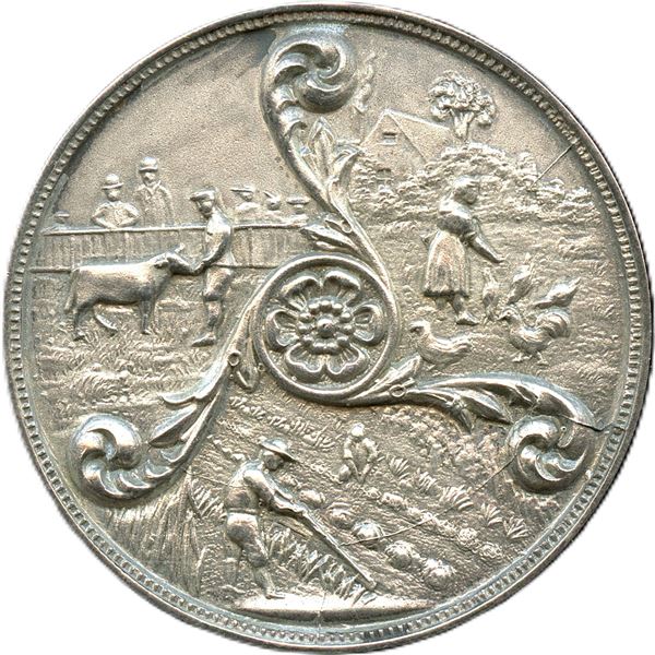 CH-EDOA-51 The Royal Bank Of Canada Medal Silver.