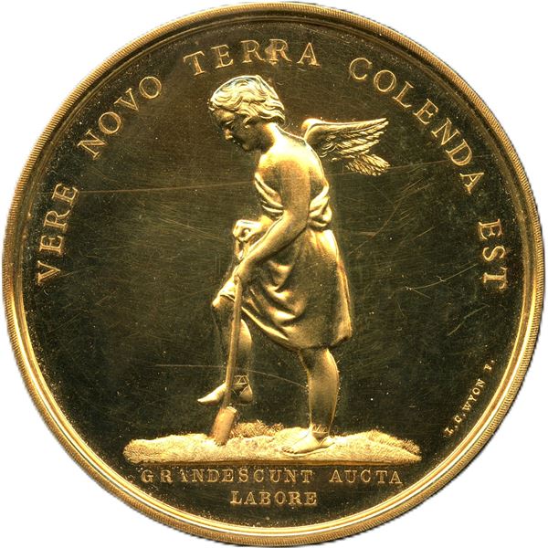 Lr. 666 McGill University Henry Chapman Medal Gold.