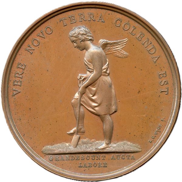 Lr. 666 McGill University Henry Chapman Medal Bronze.