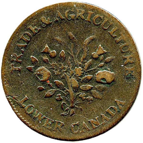 Br 714 "Harry N. James Mule" Bouquet Sous Tokens.