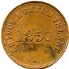 Image 1 : Br 919 1857 PEI Self Government  Token.