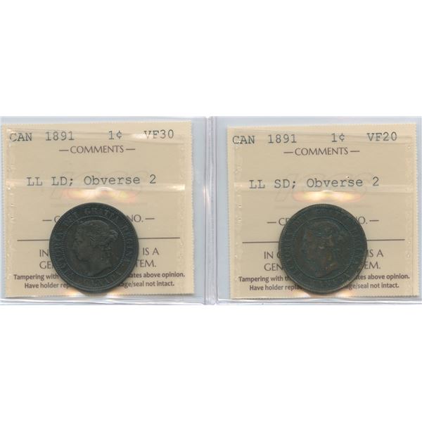 1891 One Cent - Small & Large Date, Large Leaves