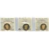 Image 2 : 1989 to 2019 ICCS Graded Loonies