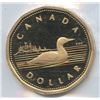 Image 6 : 1989 to 2019 ICCS Graded Loonies