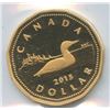 Image 8 : 1989 to 2019 ICCS Graded Loonies
