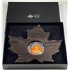 Image 1 : 2016 $20 Canada Colourful Maple Leaf - Fine Silver (No Tax)