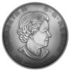 Image 4 : 2016 $25 Canada The Library of Parliament Fine Silver (No Tax)