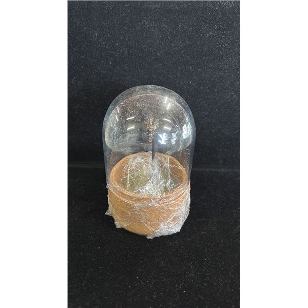 SMALL CRYSTAL DECORATED SKULL ON STAND WITH REMOVABLE GLASS LID: APPROX 5" TALL