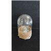 Image 1 : SMALL CRYSTAL DECORATED SKULL ON STAND WITH REMOVABLE GLASS LID: APPROX 5" TALL