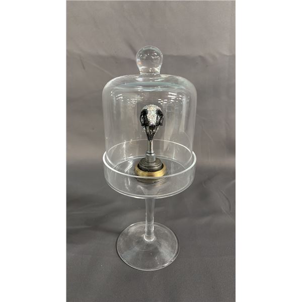 SMALL CRYSTAL DECORATED SKULL ON STAND WITH REMOVABLE GLASS LID: APPROX. 10" TALL