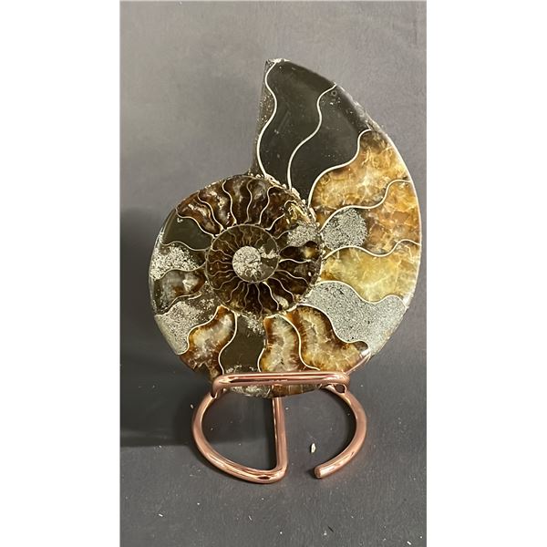 5" AMMONITE FOSSIL ON STAND