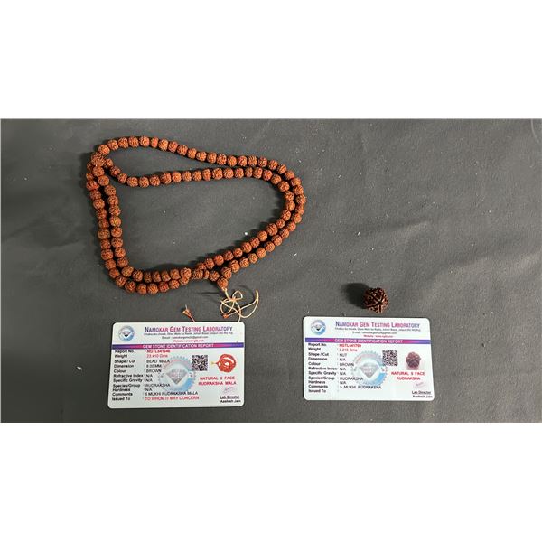 5 FACE RUDRAKSHA & 5 FACE RUDRAKSHA MALA: BOTH WITH GEMSTONE ID REPORTS