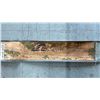Image 2 : LONG SCROLL OF RIVER SCENE