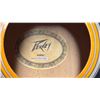 Image 2 : PEAVEY ACOUSTIC GUITAR WITH NEW STRINGS