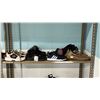 Image 1 : SHELF OF ASSORTED SHOES: ASSORTED SIZES, COLOURS & STYLES - *SOME SINGLE SHOES*