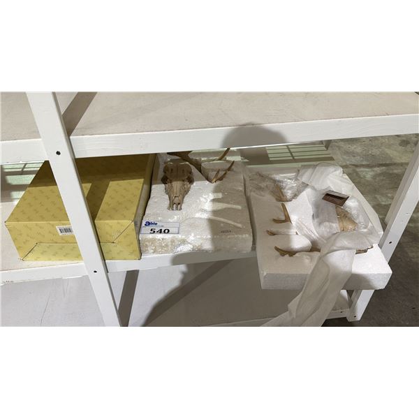 (2) WALL MOUNTED FAUX DEER SKULLS: ONE IS MISSING 1 ANTLER