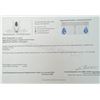 Image 2 : 10K (3.05G), BLUE TOPAZ (12.5CT) EARRINGS APPRAISED INSURANCE VALUE $1125