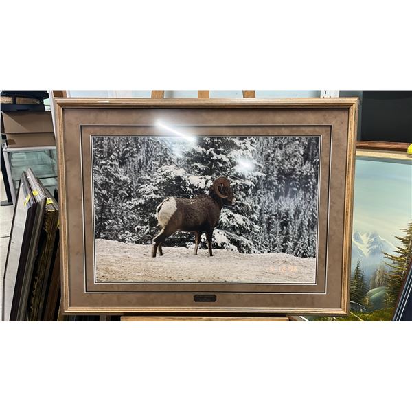 FRAMED 1996 RAYMOND NADEAU "THE BUCK STOPS HERE" PHOTO PRINT: 38.5" X 28.5" FRAMED