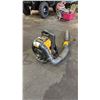Image 2 : DEWALT CORDLESS BACKPACK BLOWER WITH 1 BATTERY