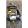 Image 4 : DEWALT CORDLESS BACKPACK BLOWER WITH 1 BATTERY