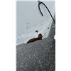 Image 7 : 2005 FOREST RIVER INC. ORVHW612SA CARGO TRAILER, WHITE, VIN 5NHUVH2195T603331,