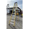 Image 2 : FEATHERLITE 10' FIBERGLASS STEP LADDER