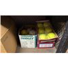 Image 3 : SHELF OF LIFE JACKETS, SOFTBALLS & BOTTLES