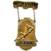 Image 1 : C.A.H.A. (Canadian Amateur Hockey Association) Past President Award.