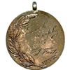Image 18 : Lot of Eleven F.J. Foote Canoe Club Medals.