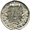 Image 8 : Lot of Five Temperence Medals.