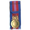 Image 13 : WORSICK Family Group of Medals