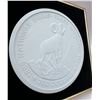 Image 2 : Original plaster model prepared by the RCM