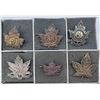 Image 3 : Canadian Military Cap Badges - Lot of 24
