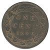 Image 2 : 1896 One Cent - Far 6