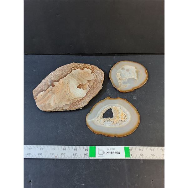 Petrified Wood / Agate