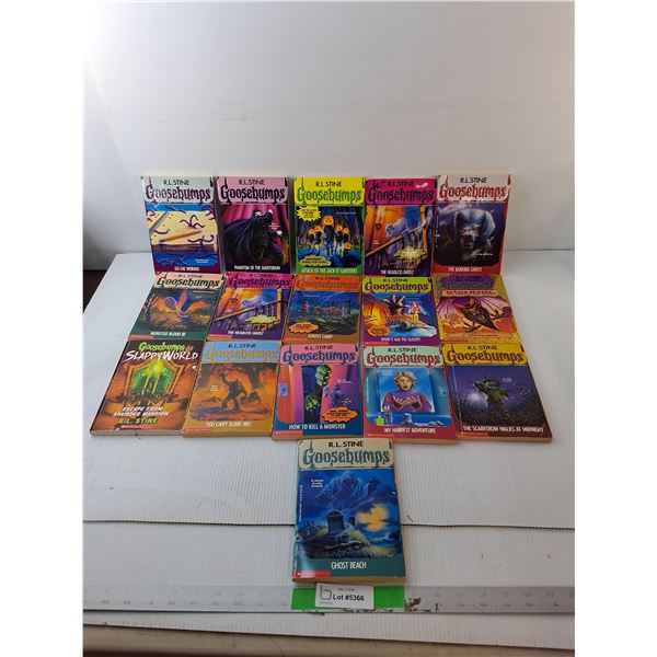 (16) Goosebumps Books