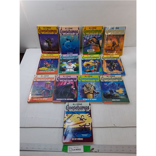 (13) Goosebumps Books