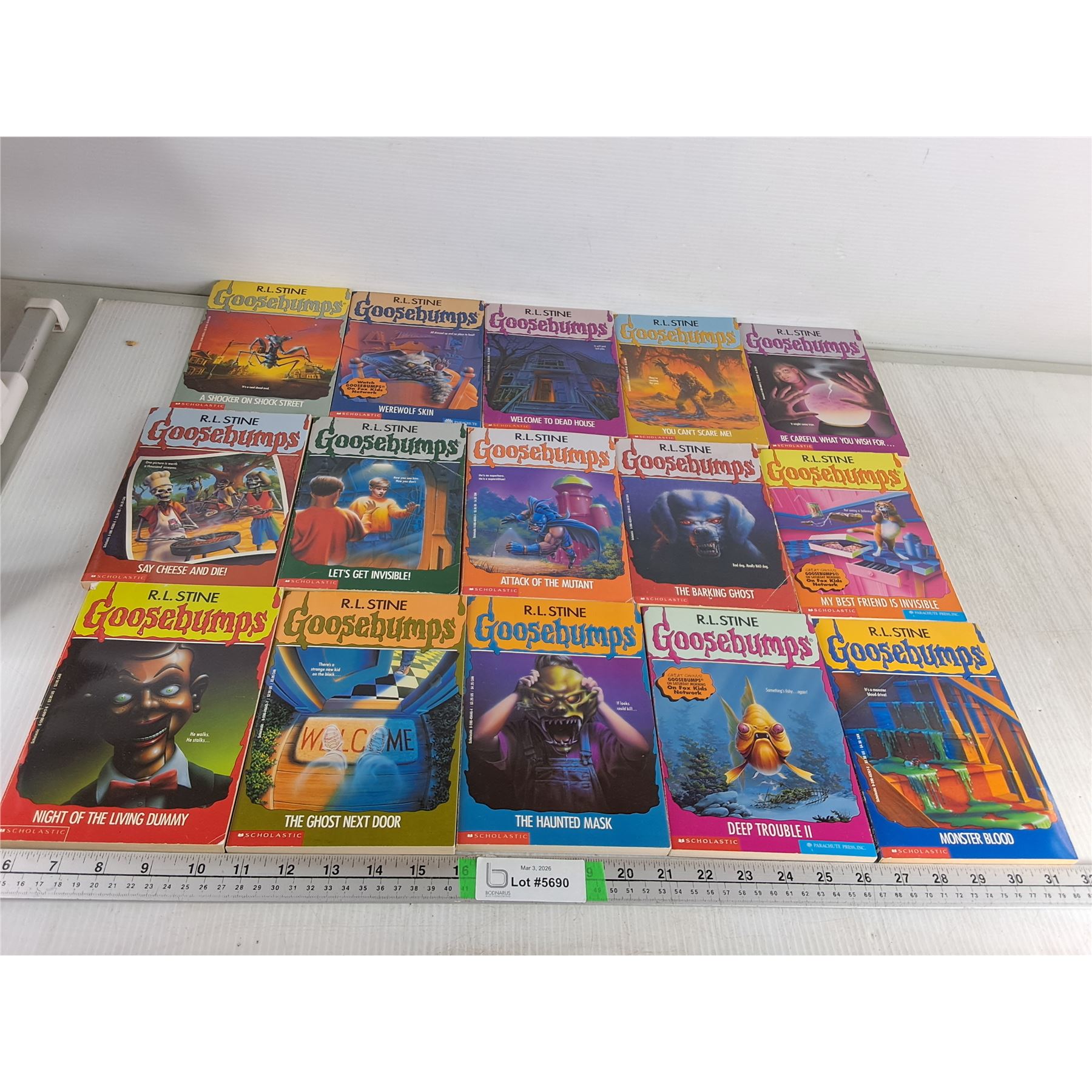 (9) Goosebumps Novels - Bodnarus Auctioneering