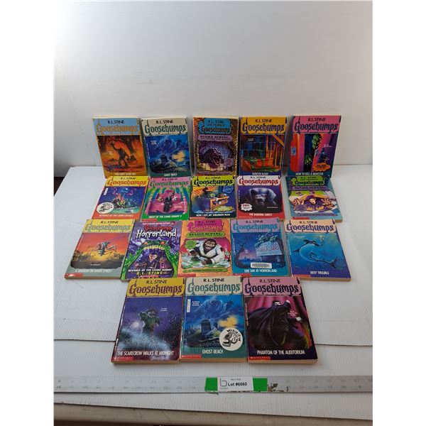 (18) Goosebumps Books