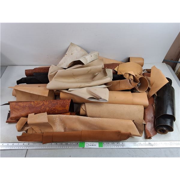 Assorted Leather & Vinyl Pieces