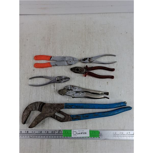 Pipe Wrench, Vise Grips, Pliers, Wire Strippers