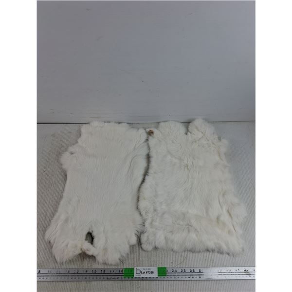 (2) Rabbit Pelts