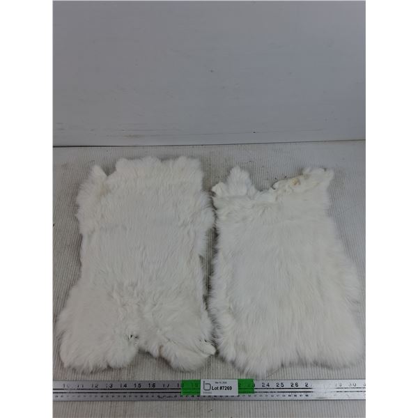 (2) Rabbit Pelts