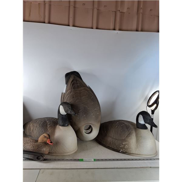 Canada Geese Hunting Decoys (cannot ship)