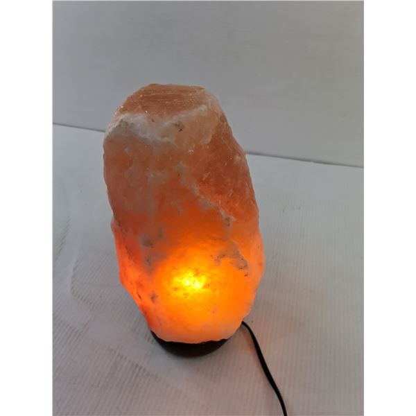 Salt Lamp 10"- Powers On - PICK UP