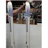 Image 4 : *Rossignol Torsion Box Carbon Skis (178cm), w/ Poles and bag. AS IS - Cannot Ship
