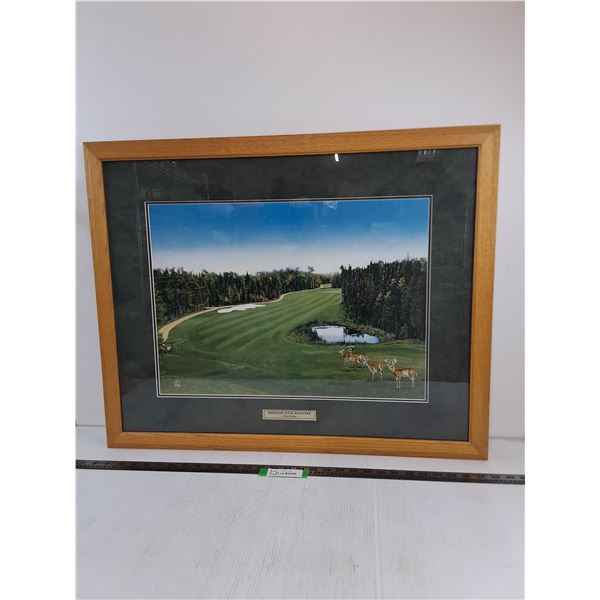* Wood Framed "Mixed Foursome" Print by Nelson Weitzel - 31" x 25" - PICK UP
