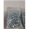 Image 2 : (3) Bags Of Hex Screws & Bolts ( cannot ship)